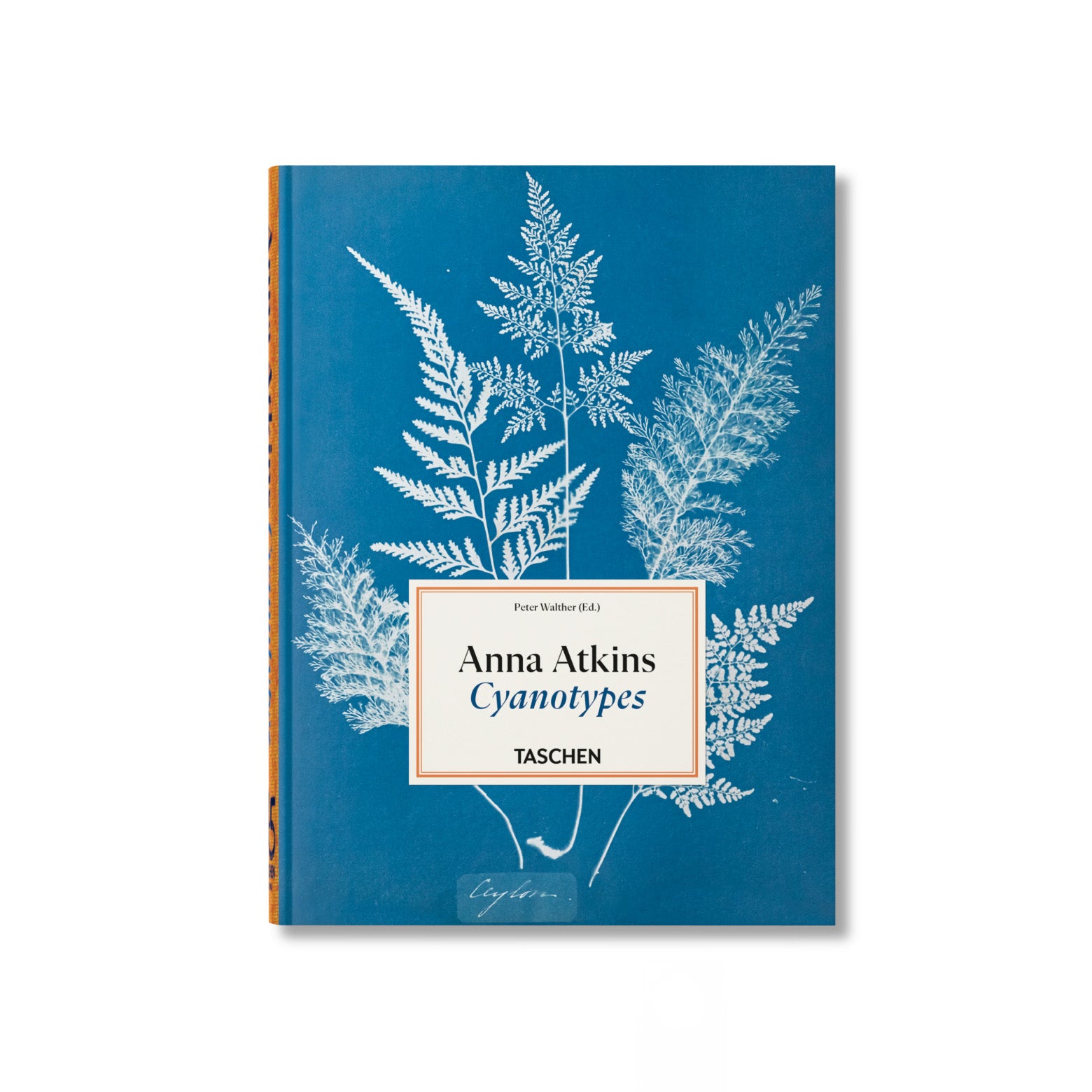 Forside af Anna Atkins - Cyanotypes - genoptrykt udgave af Anna Atkins’ værker British Algae og Cyanotypes of British and Foreign Ferns. Udgivet af Taschen