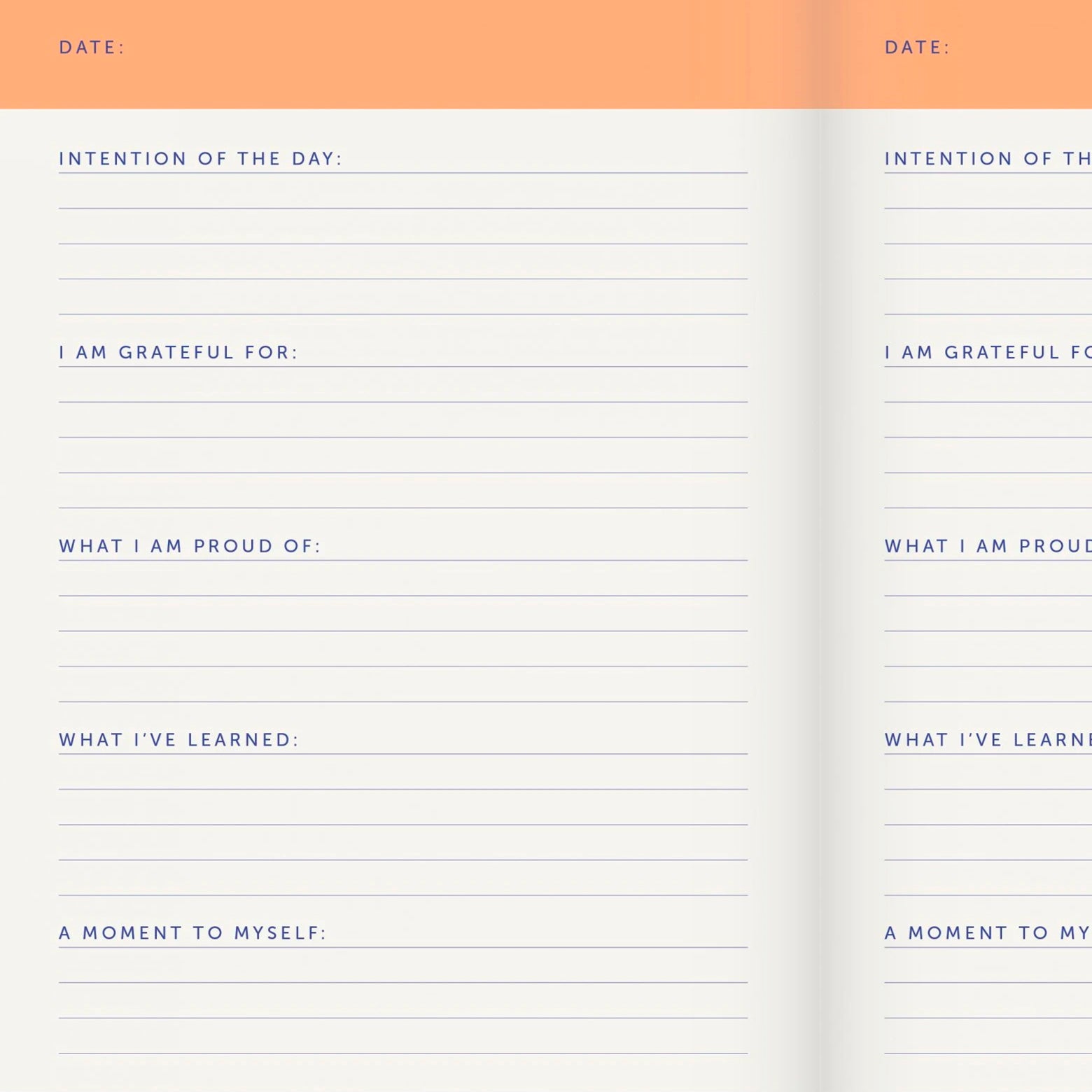 Daily Journal notebook