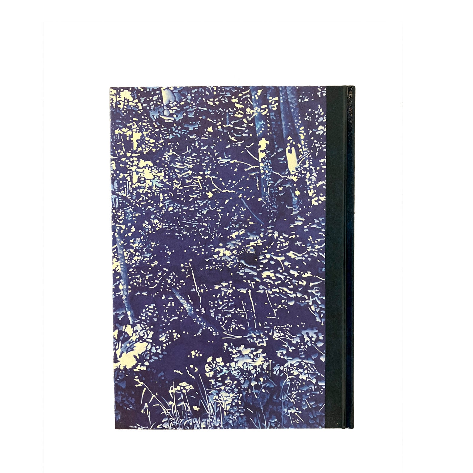 Catalog – Franz Gertsch (English)