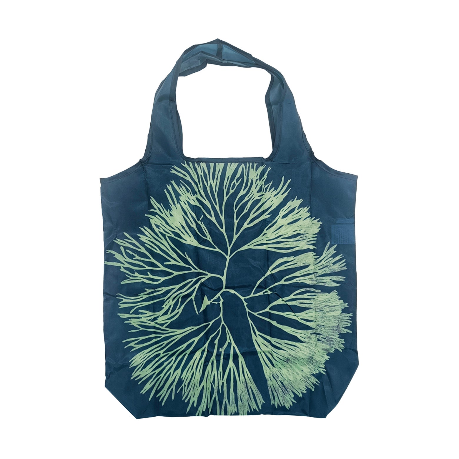 Louisiana net – Anna Atkins from photographs of British Algae
