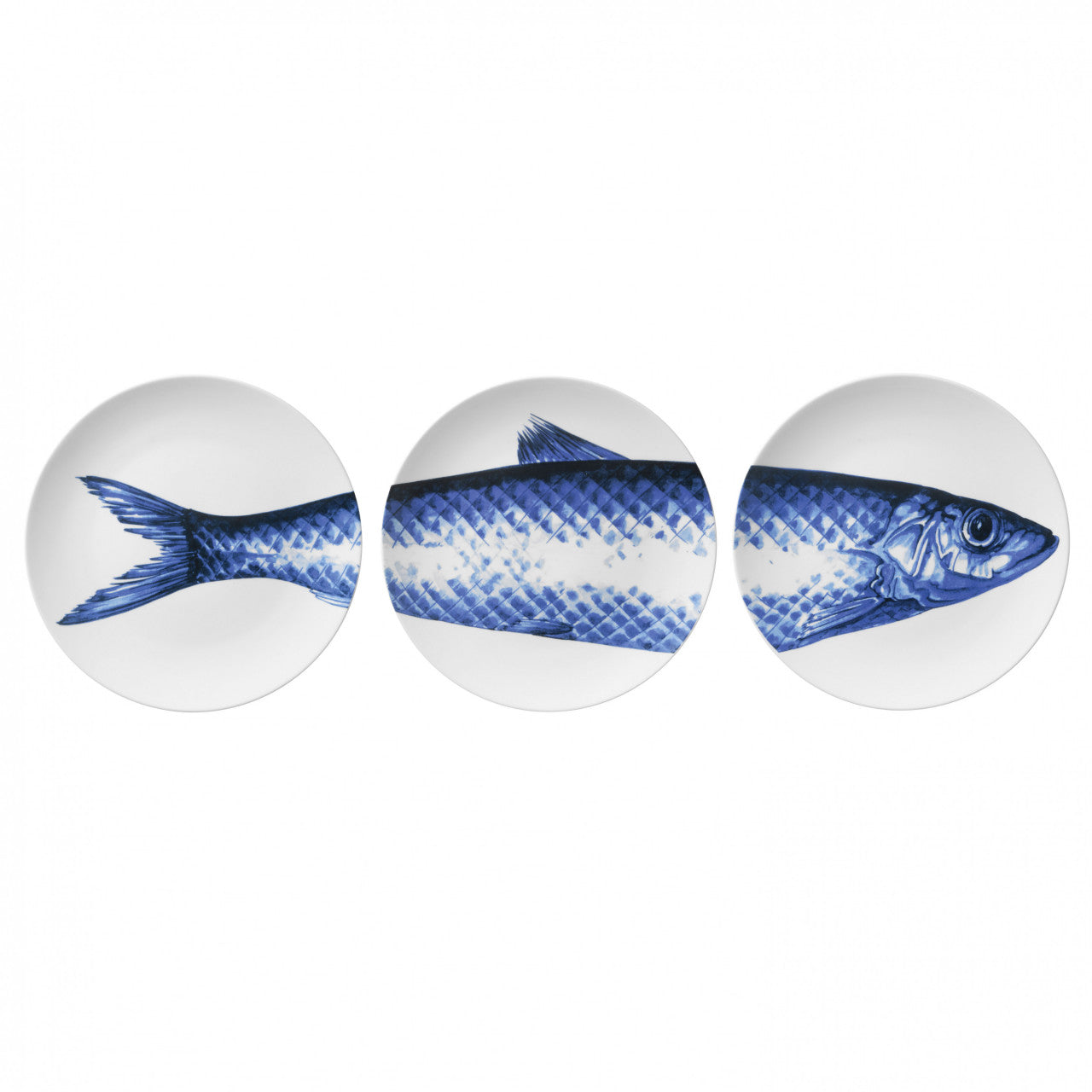 Plate 3-pack