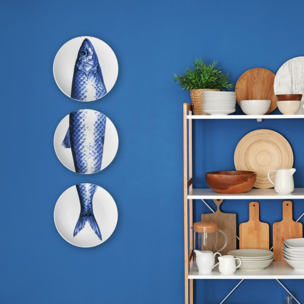 Plate 3-pack
