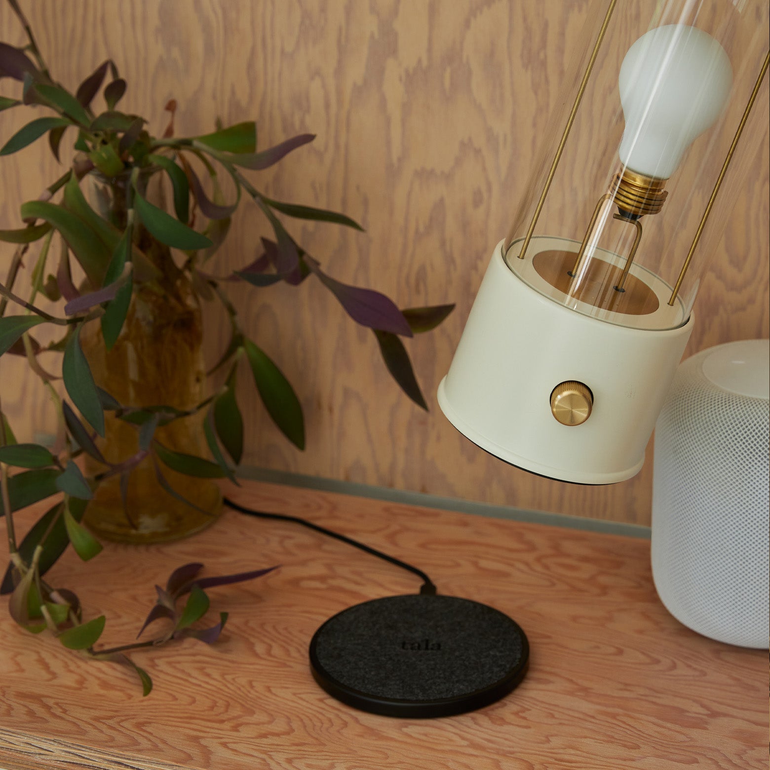 The Muse Lamp