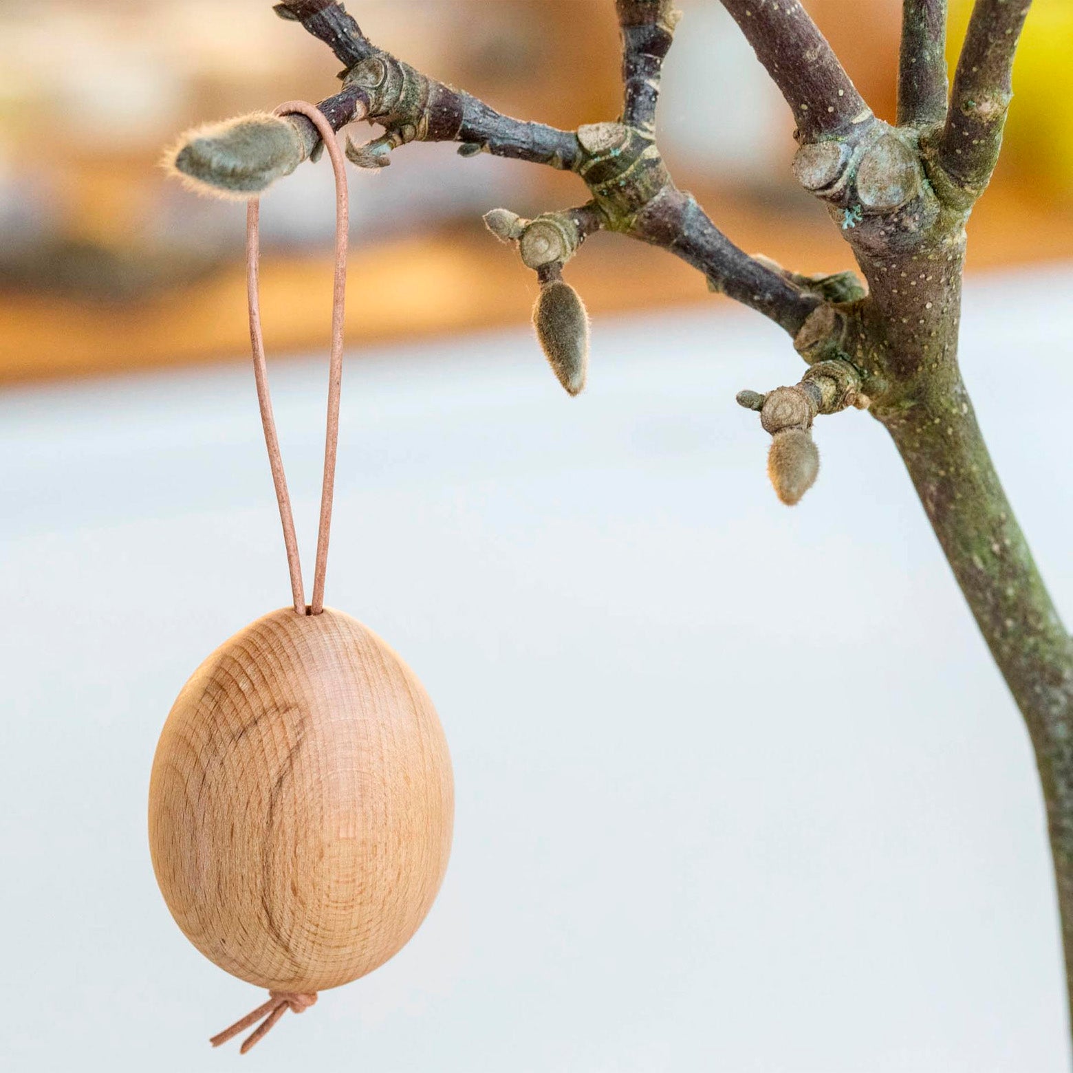 Wooden egg with string