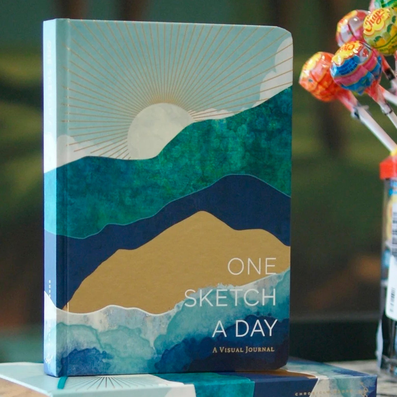 Horizons One Sketch a Day af Chronicle Books