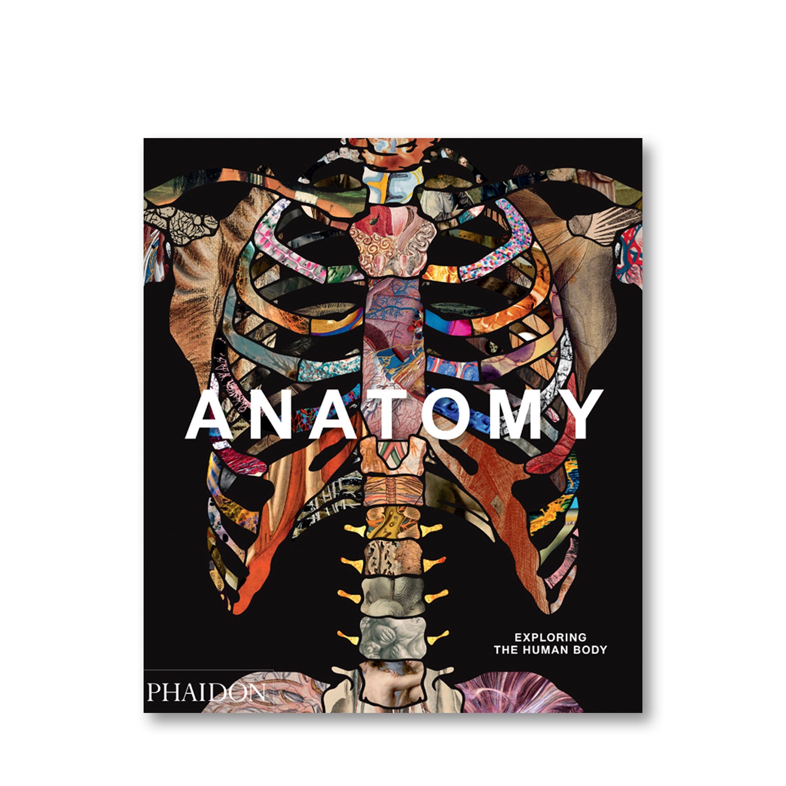 Anatomy: Exploring the human body