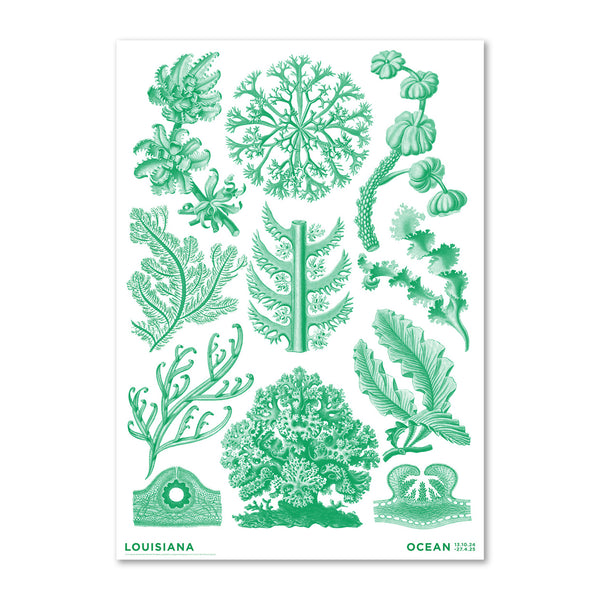 Haeckel – Florideae Ocean – grøn (2024) - Louisiana Plakat