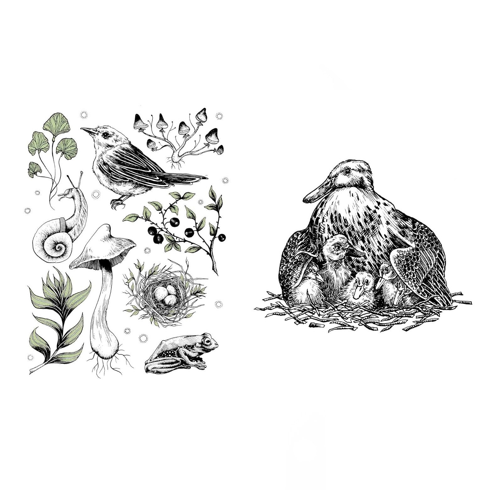 Opslået side i 15 Minute Art-Pen & Ink - en bog med 50 hurtige 15-minutters tegneøvelser kan udforske alt fra fantasifulde skove til eventyrlige planter og dyr. Udgivet af Quadrille.