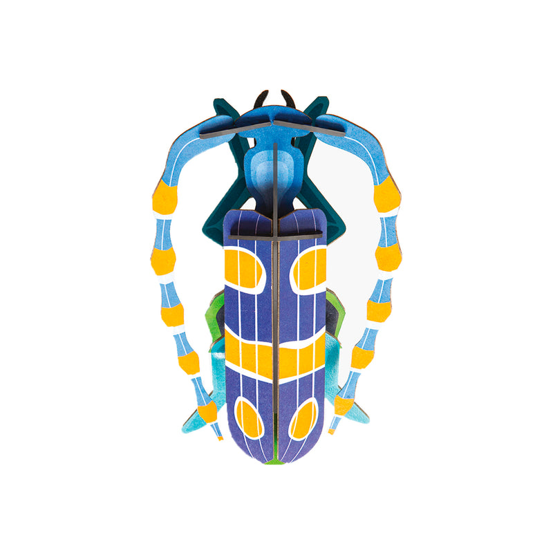 Beetle building set small - several styles