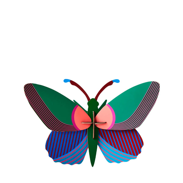 Acacia Butterfly – mellem