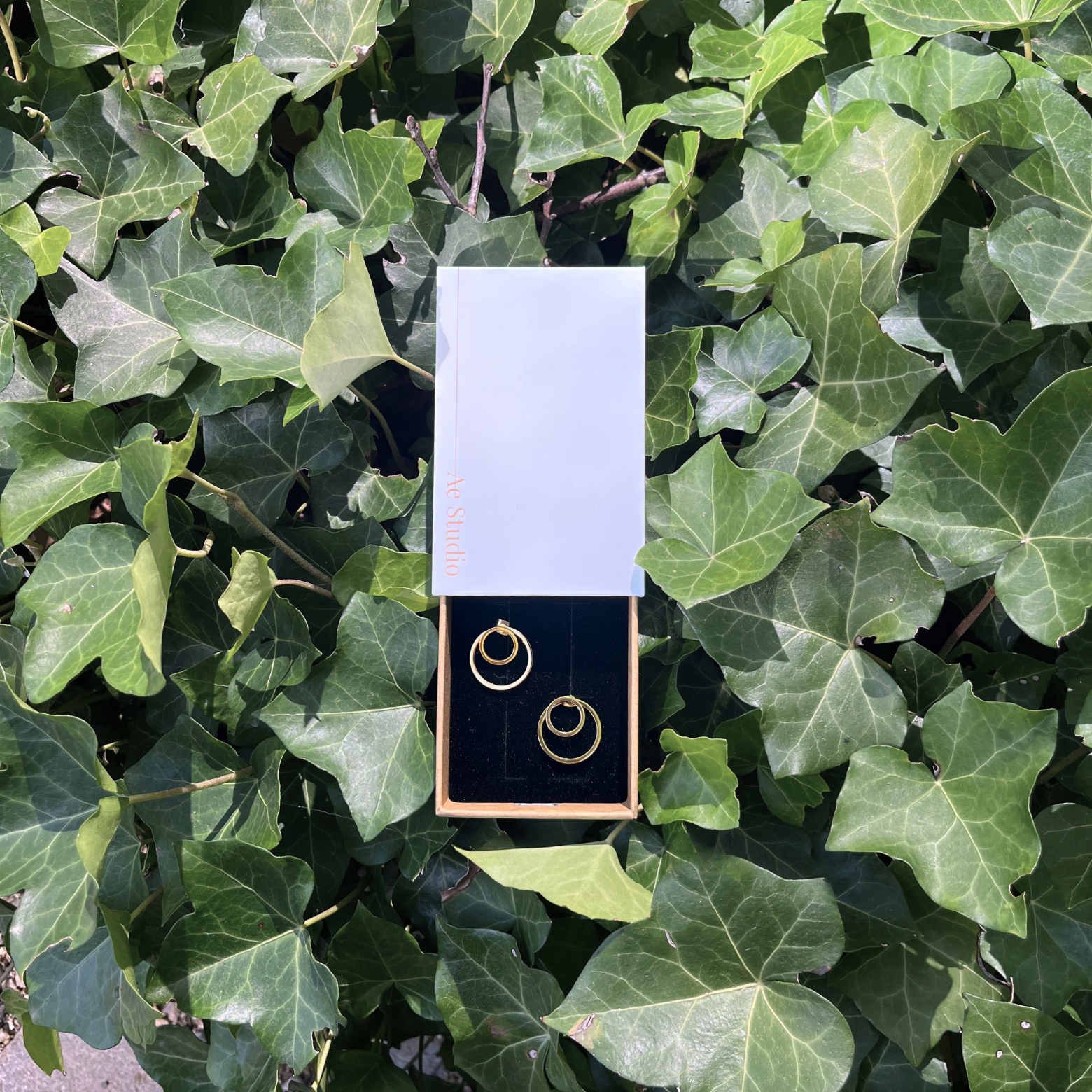 Earring - Outline Dot