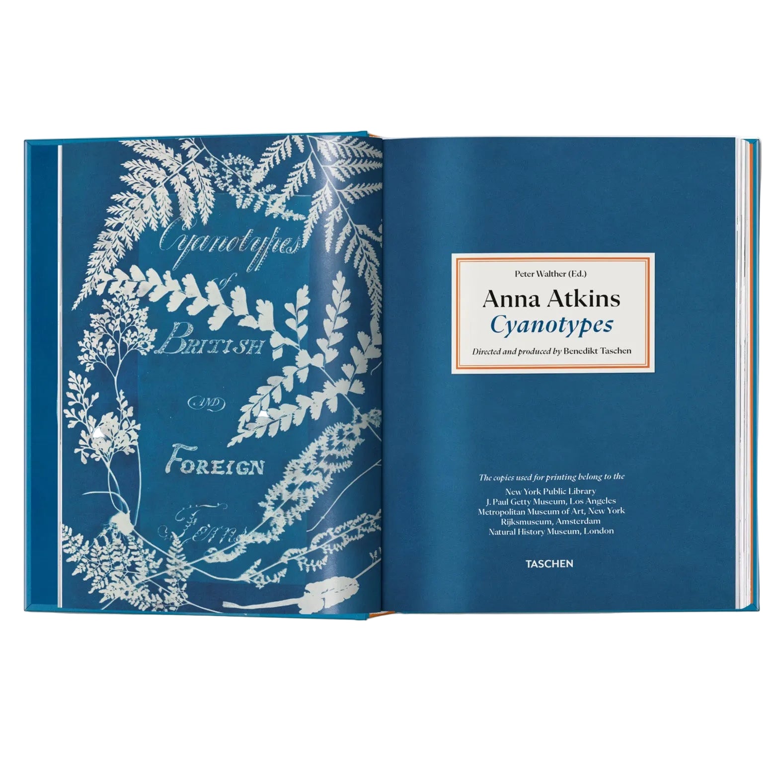 Opslået side i Anna Atkins - Cyanotypes - genoptrykt udgave af Anna Atkins’ værker British Algae og Cyanotypes of British and Foreign Ferns. Udgivet af Taschen