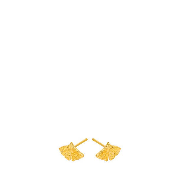 Biloba earrings – gold