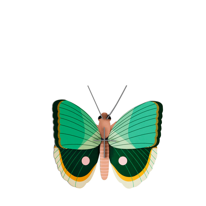 Butterfly Fern Striped – small