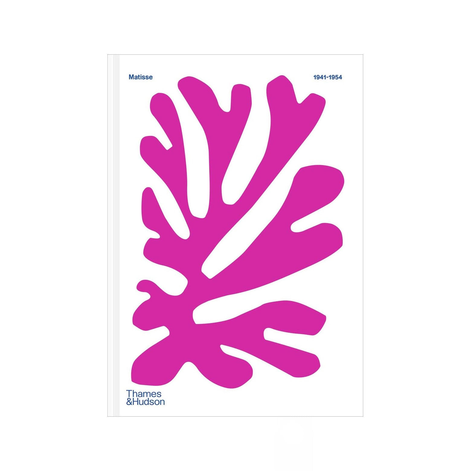 Henri Matisse Colour Unbound 