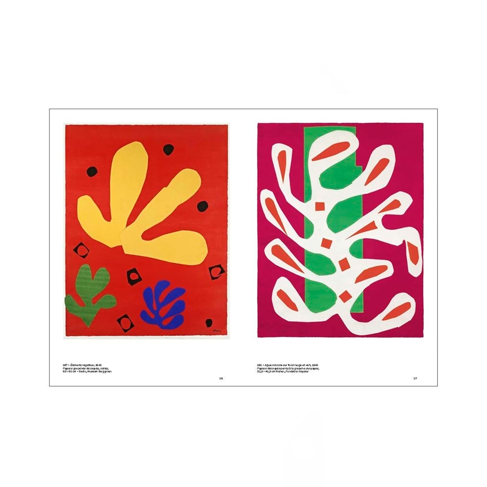 Henri Matisse Colour Unbound