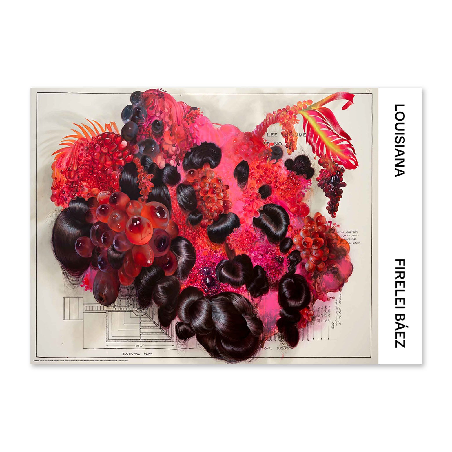 Firelei Báez – Fruta Fina