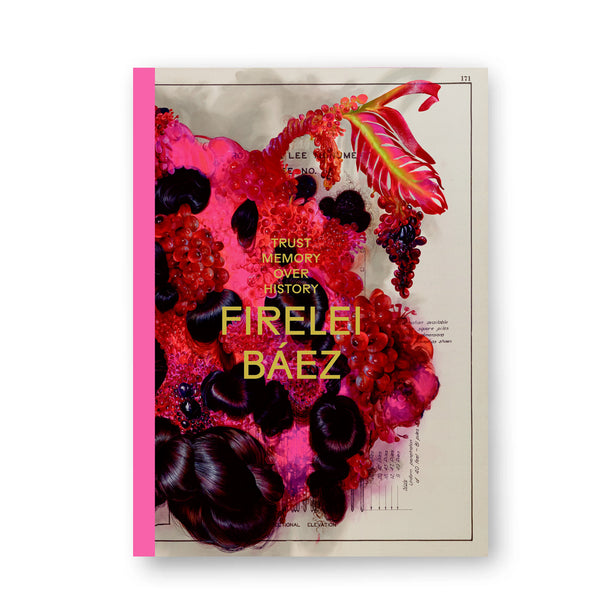 Firelei Báez katalog/catalogue – engelsk