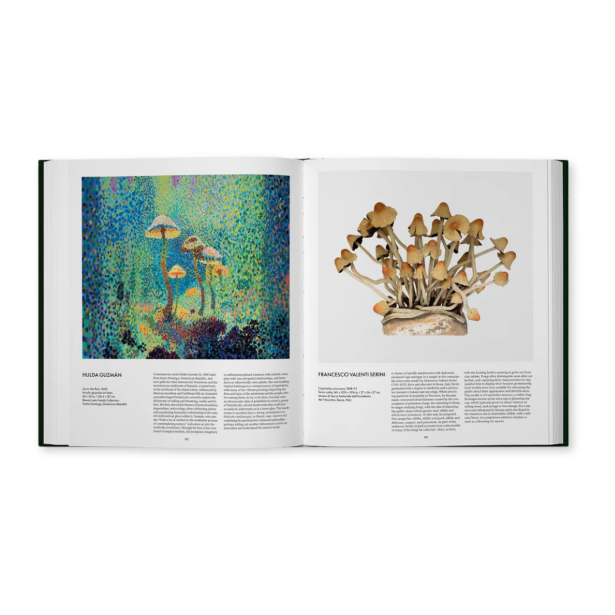 Fungi - The World of Mushrooms