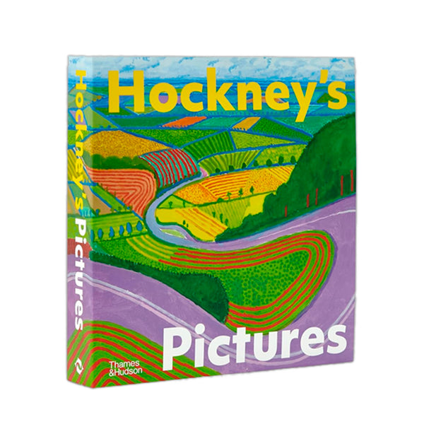 Hockney's Pictures