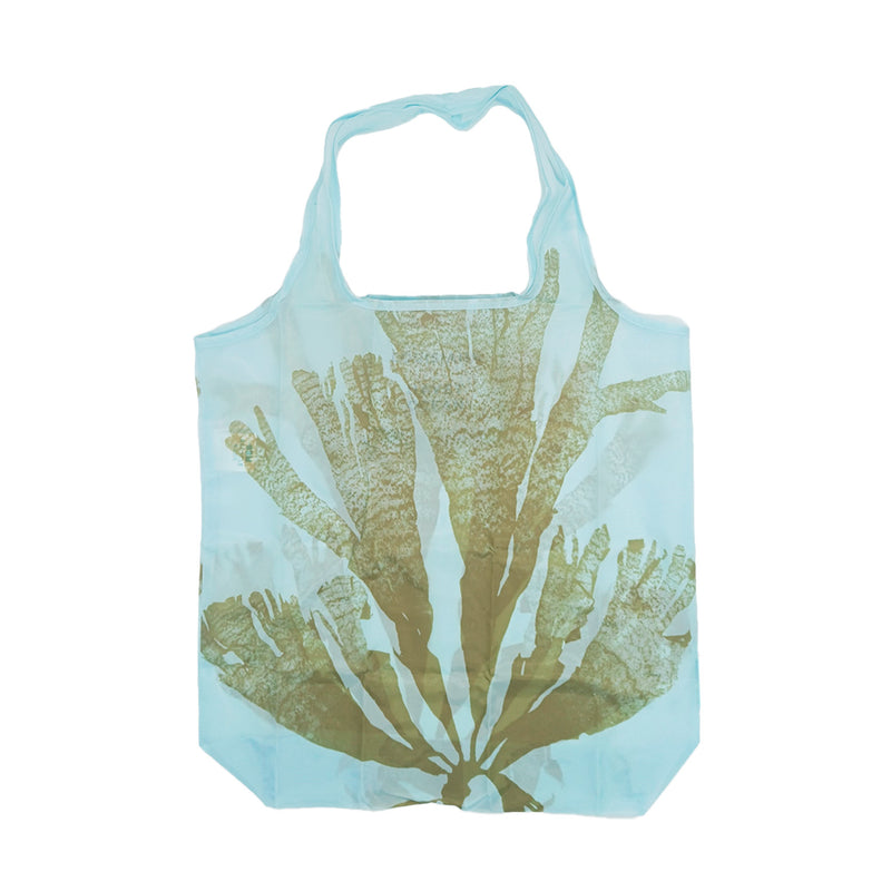 Louisiana net – Anna Atkins from photograpsh of British Algae