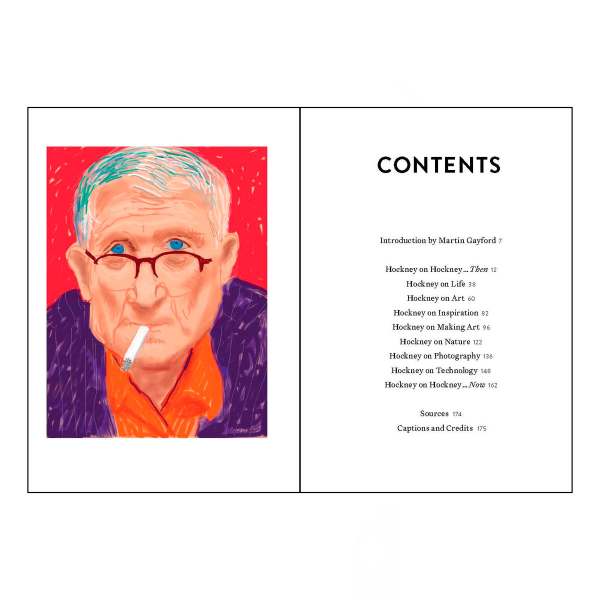 The World According to David Hockney - Martin Gayford