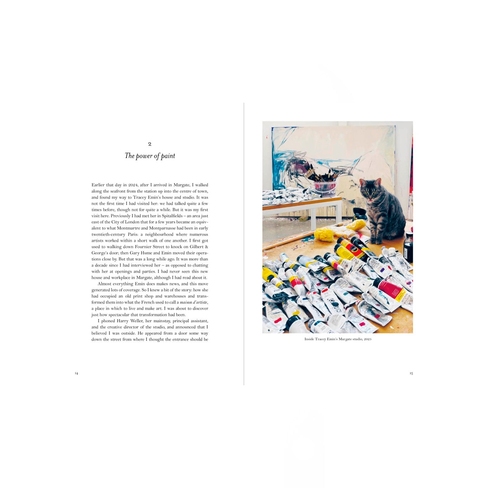 My Heart is This - Tracey Emin on Painting