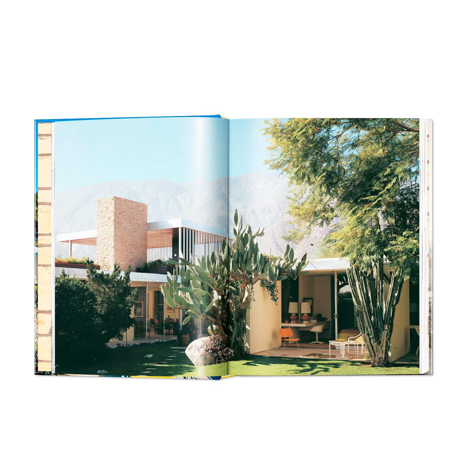 Neutra - 45th Edition