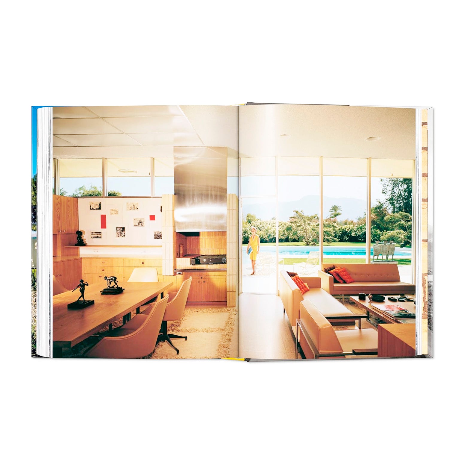 Neutra - 45th Edition