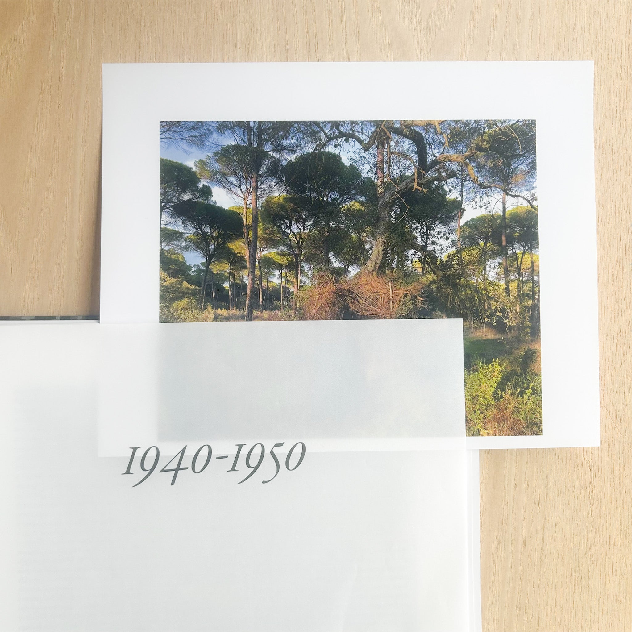 Opslået side i on the hunt af den franske kunstner Sophie Calle - et værk der kortlægger de egenskaber, mænd gennem tiden har søgt hos kvinder, og kvinder hos mænd. Udgivet af Atelier EXB.