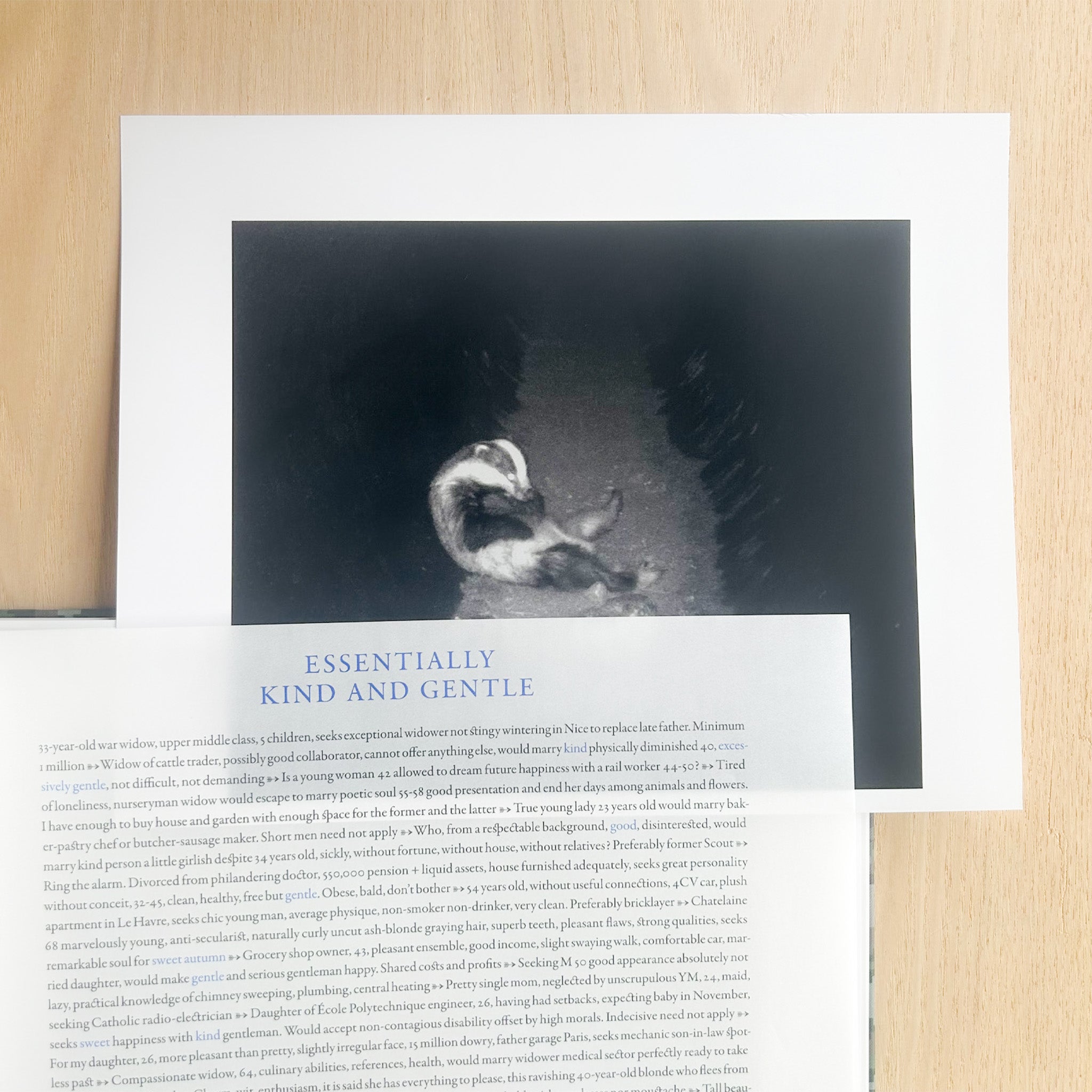 Opslået side i on the hunt af den franske kunstner Sophie Calle - et værk der kortlægger de egenskaber, mænd gennem tiden har søgt hos kvinder, og kvinder hos mænd. Udgivet af Atelier EXB.