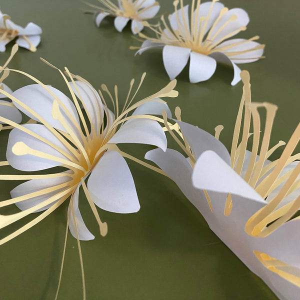 Handcut paper anemone
