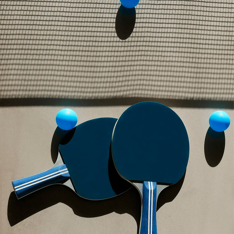 Portable Table Tennis