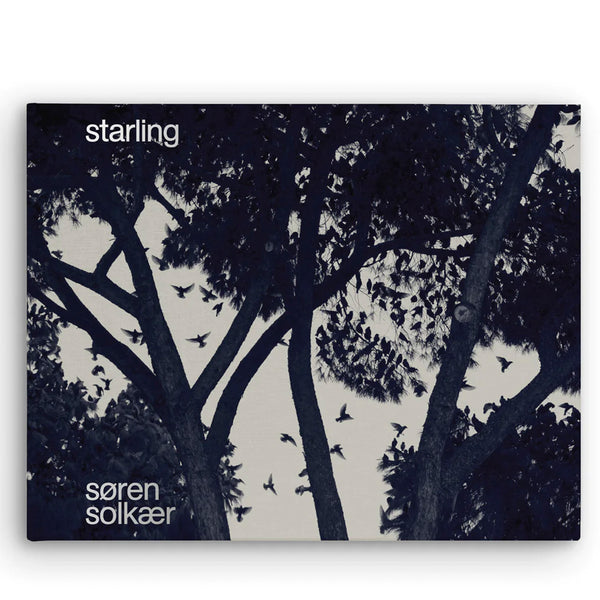 Starling – Søren Solkær