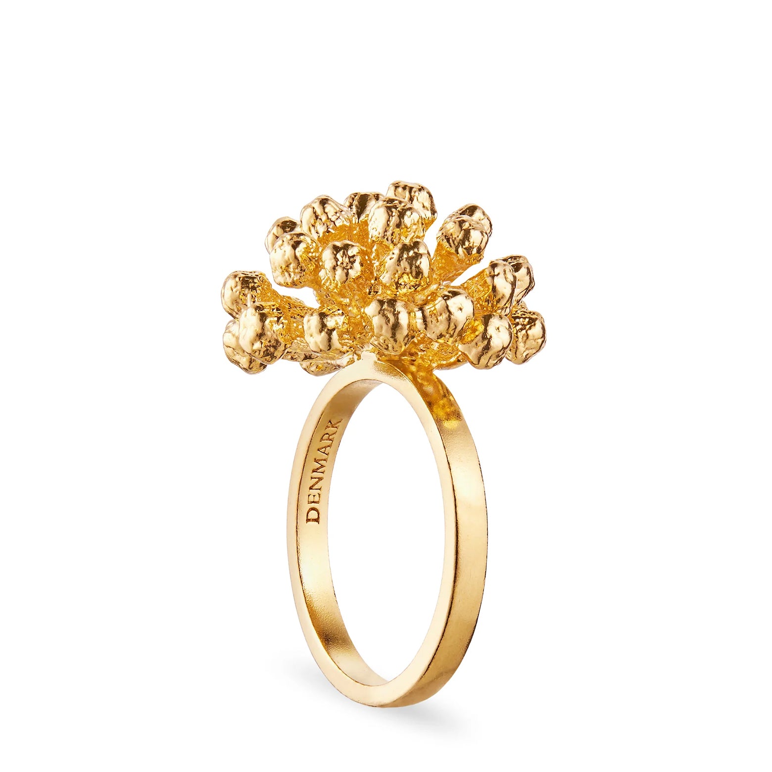 Dill Statement ring – gold-plated silver