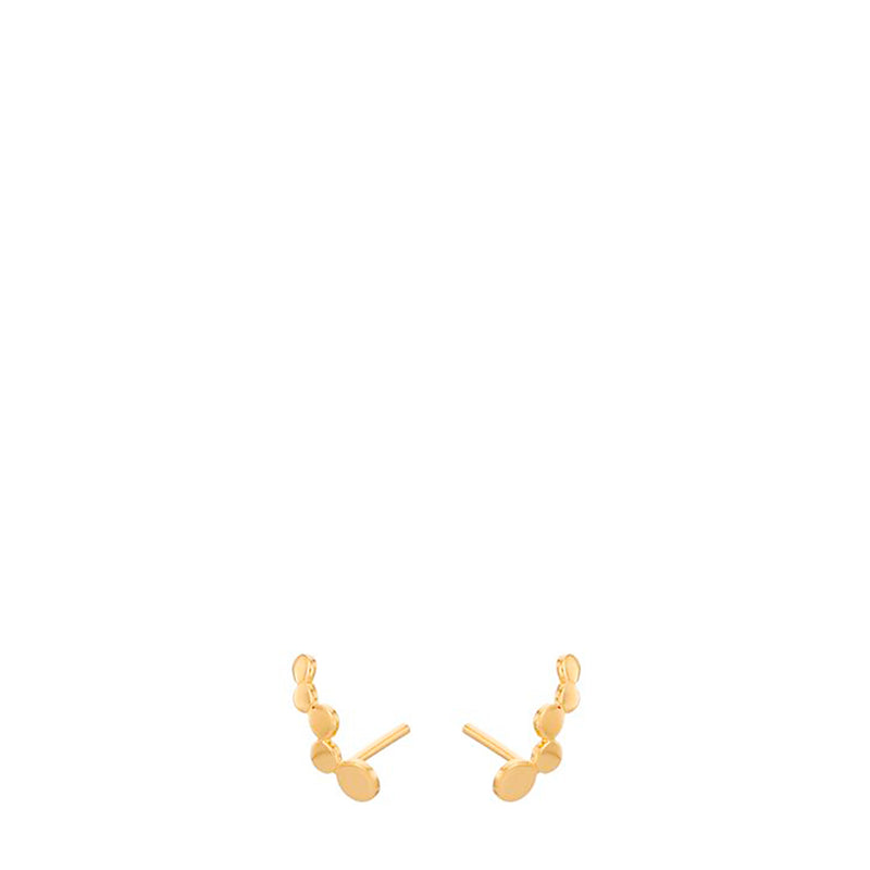 Sheen earrings - gold