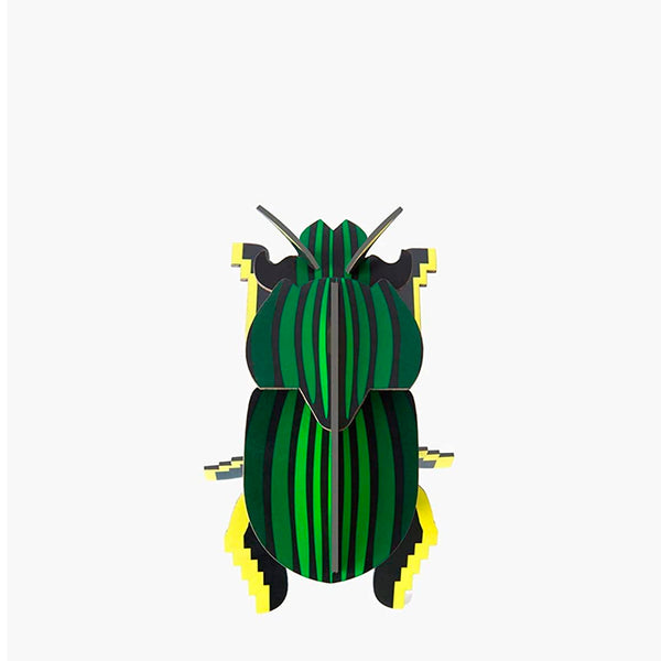 Beetle building set small - several styles