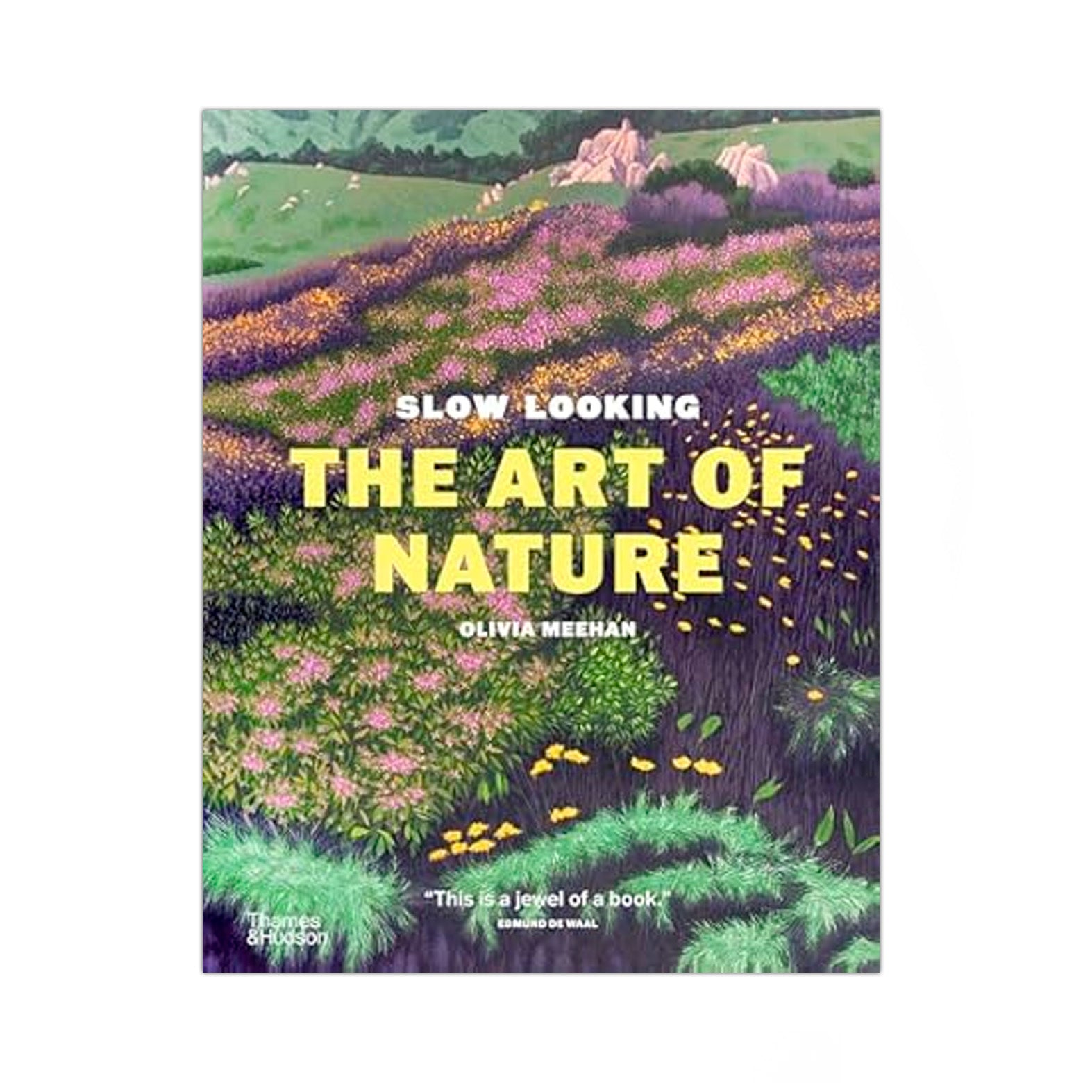 Slow Looking - The Art of Nature