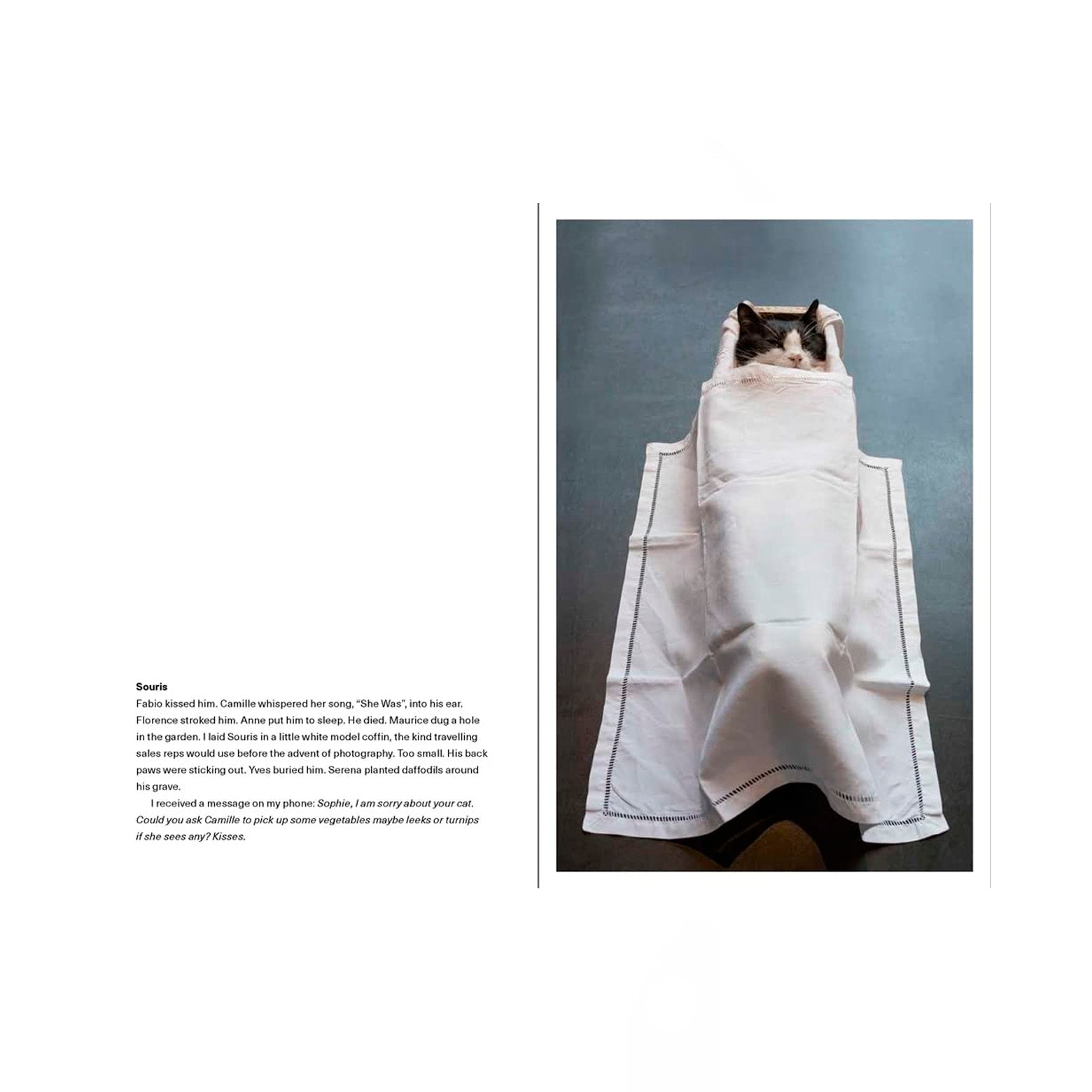 Opslået bog med billeder fra Sophie Calles værker. Udgivet af Thames & Hudson.