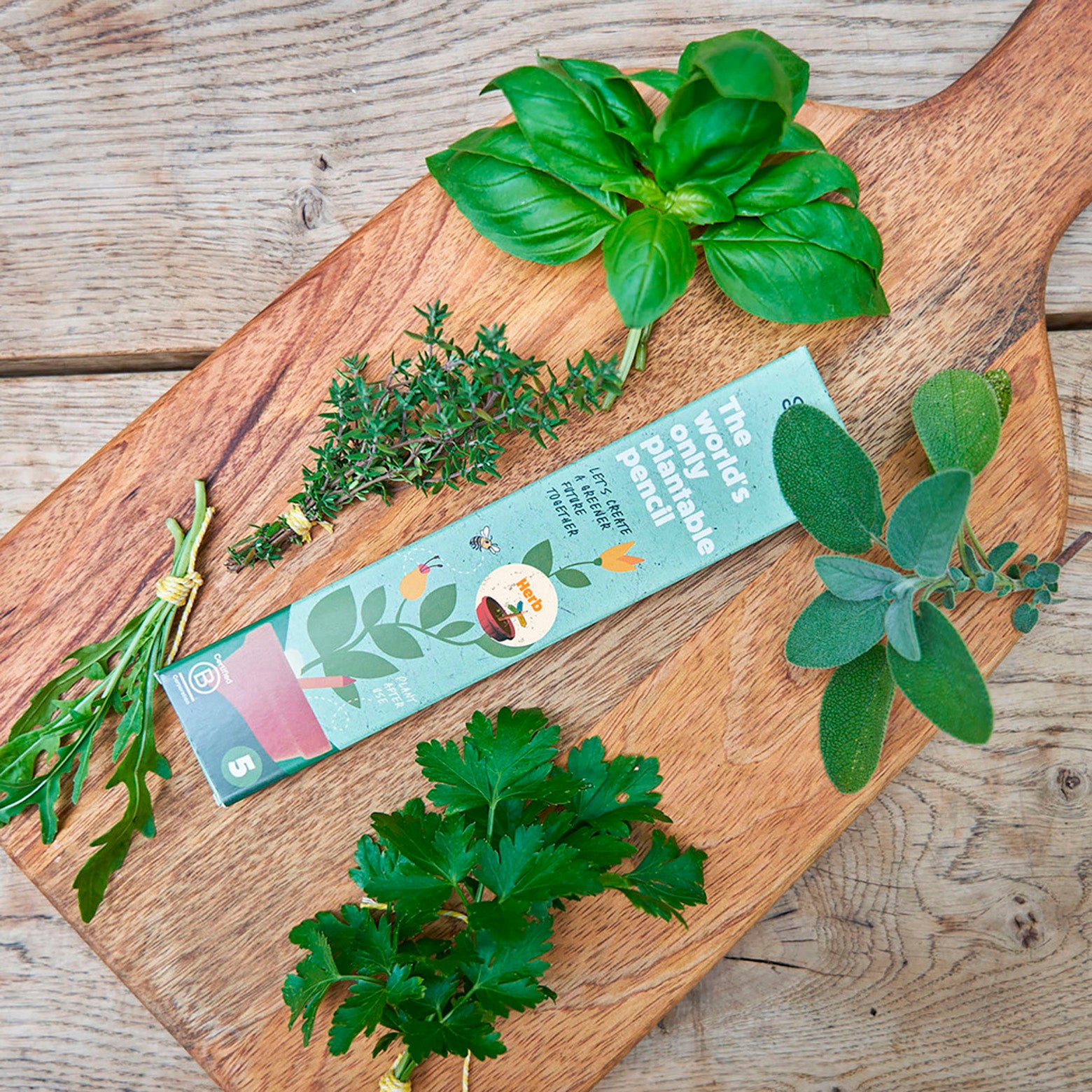 Plantbar blyant fra Sprout World. Sæt af fem. Herb.