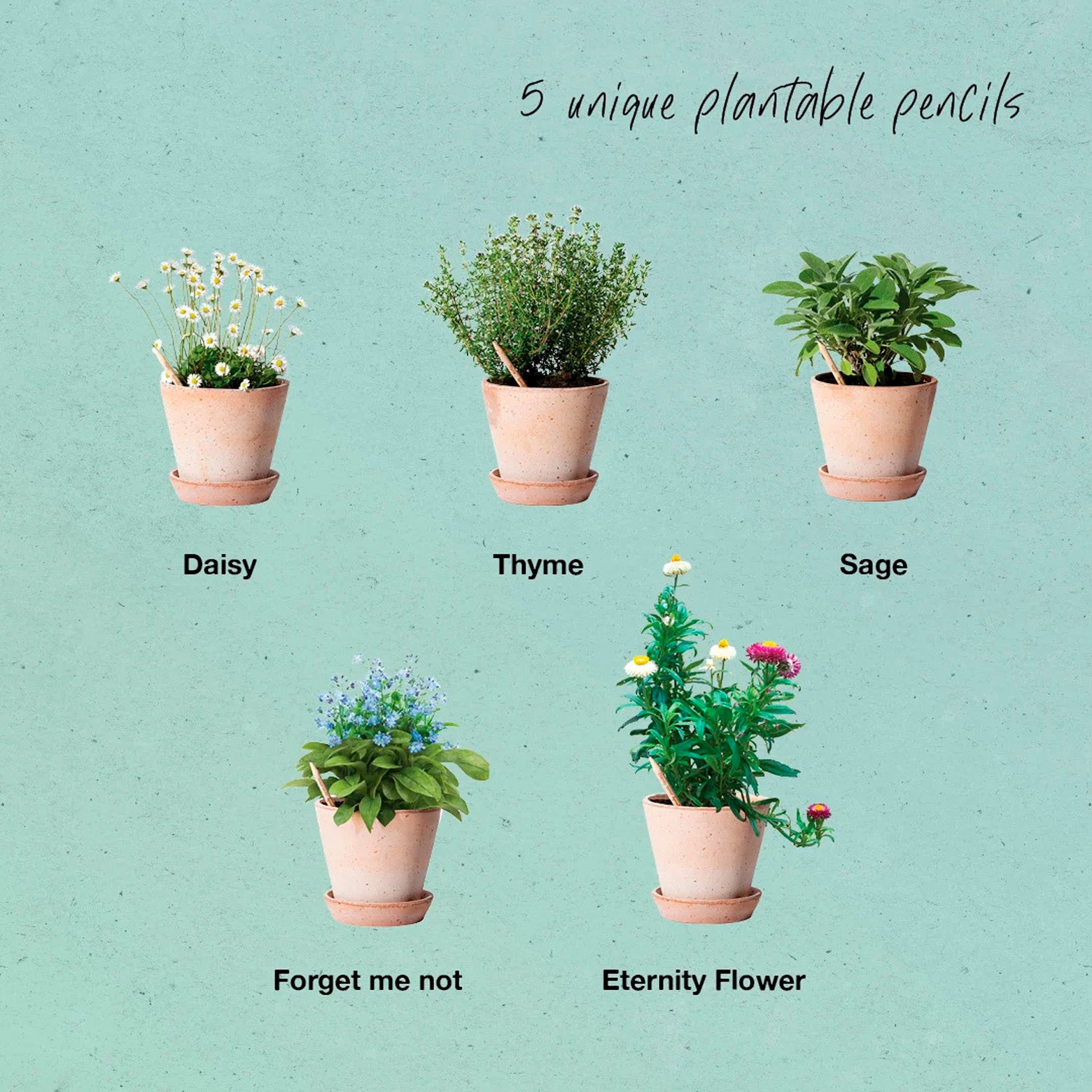 Plantbar blyant fra Sprout World. Happy Bee. Sæt af fem.