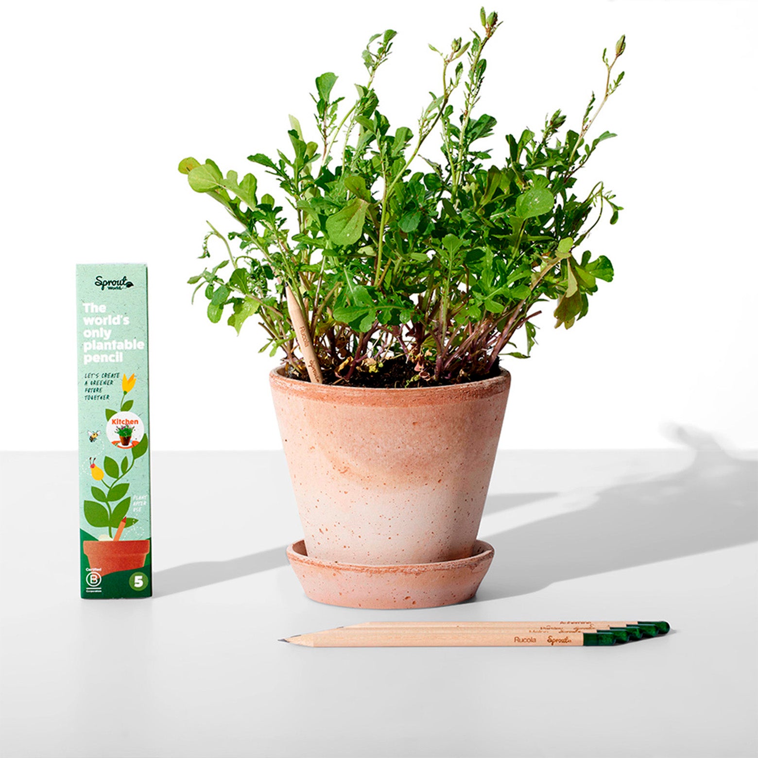 Plantbar blyant fra Sprout World. Kitchen. Sæt af fem.