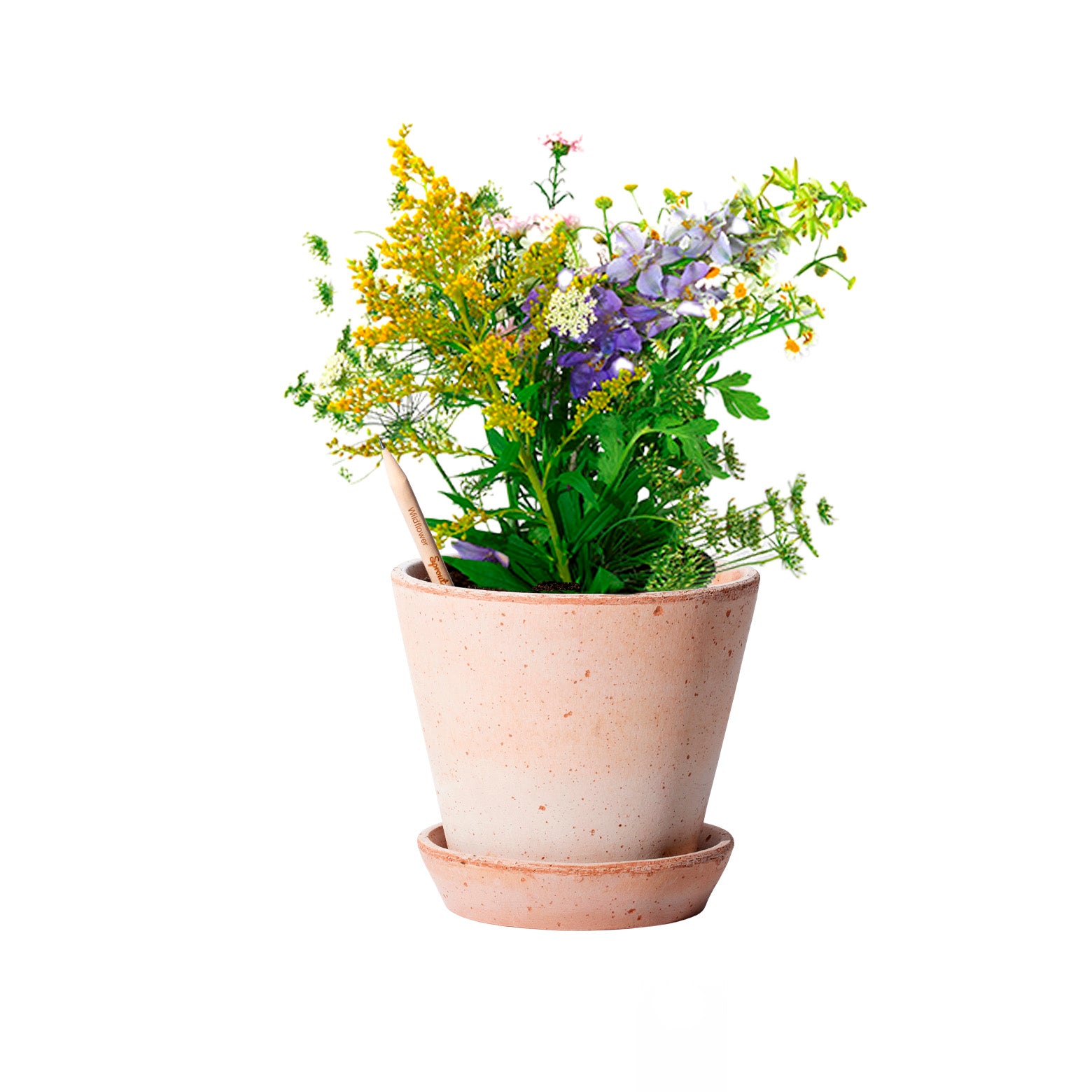 Plantbar blyant fra Sprout World. Wildeflower. Sæt af tre. 