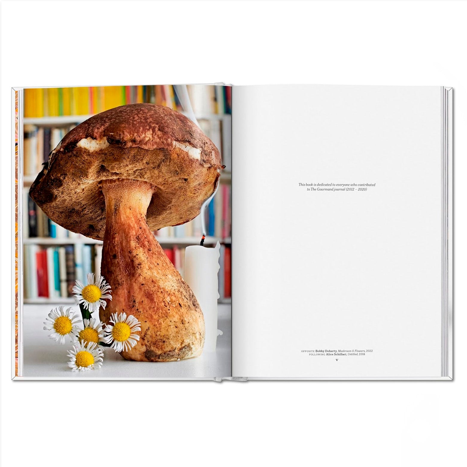 The Gourmand's Mushroom - A Collection of Stories and Recipes