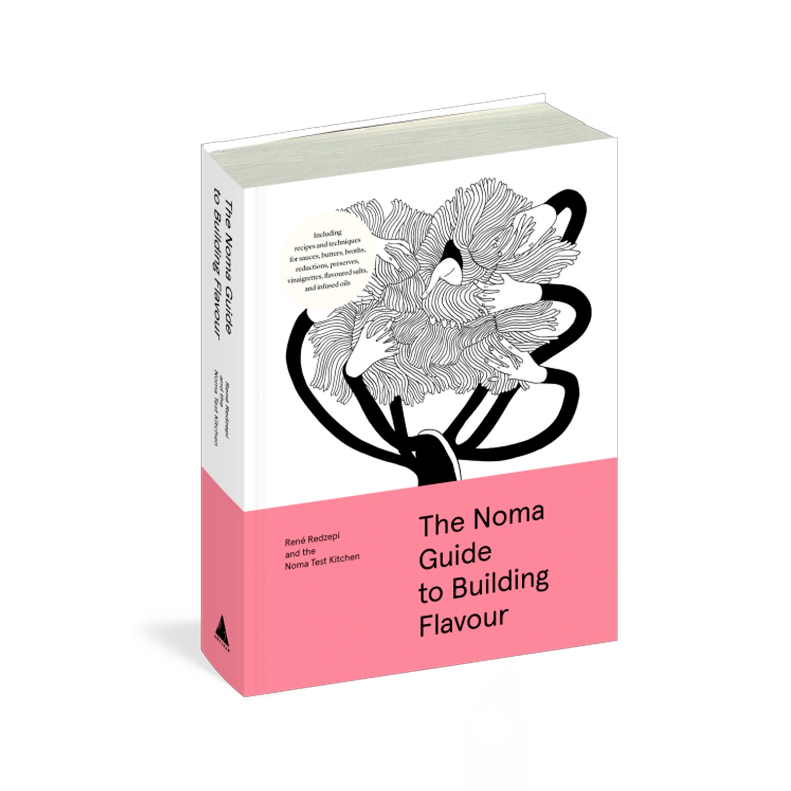 The Noma Guide to Fermentation