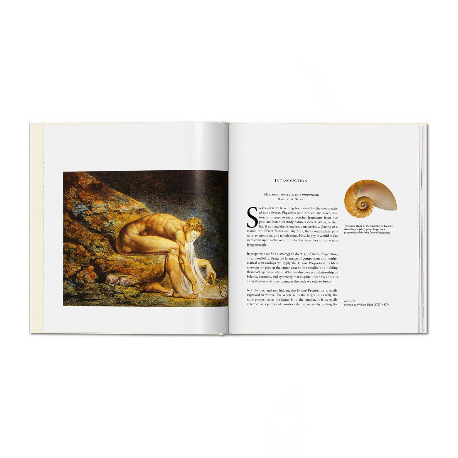 Opslået side i The Secret Code - en udforskning af den Guddommelige Proportion, også kendt som det gyldne snit eller Phi. Udgivet af Taschen
