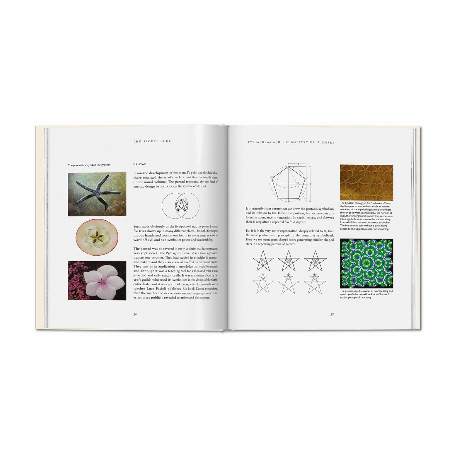 Opslået side i The Secret Code - en udforskning af den Guddommelige Proportion, også kendt som det gyldne snit eller Phi. Udgivet af Taschen