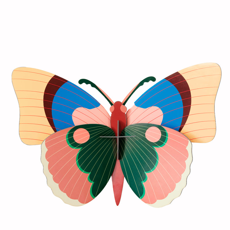 Cepora Butterfly – large