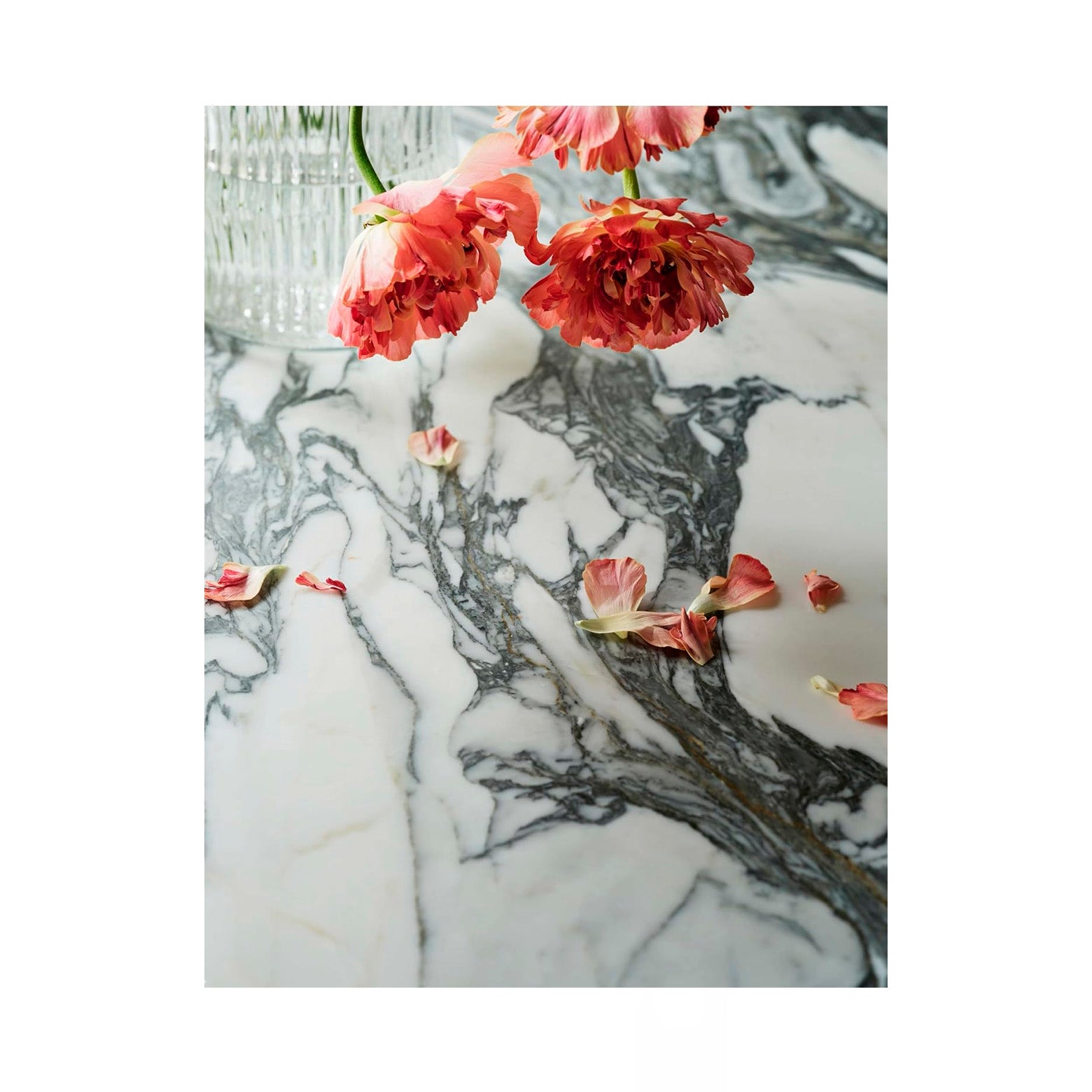 Japandi - Serene Homes and Thoughtful Living