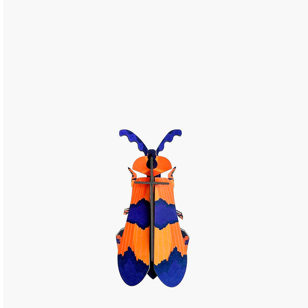 Beetle building set small - several styles